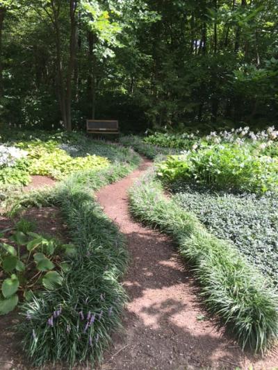 pathway to bench with plants on either side of pathway