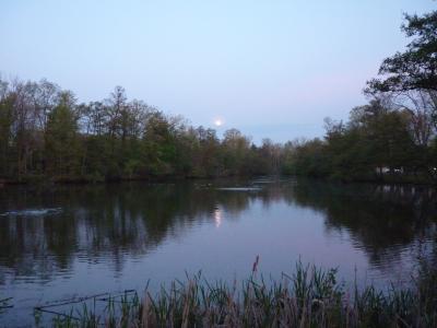 a view of the lake at dusk 