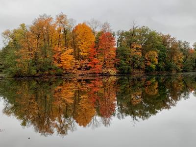 fall foliage reflection on lake 