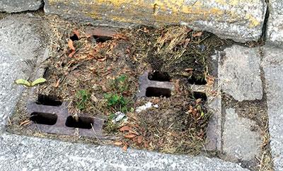 Storm Drain Covered With Debris