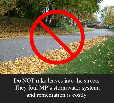 Leaves on the Street with a NO symbol over them and message that says Do Not rake leaves into the streets.